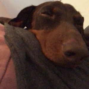 Meet your Posher, Natalie